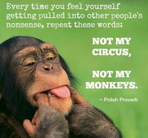 not my circus not my monkeys
